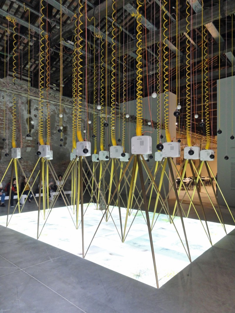 bex16vcebiennale017www